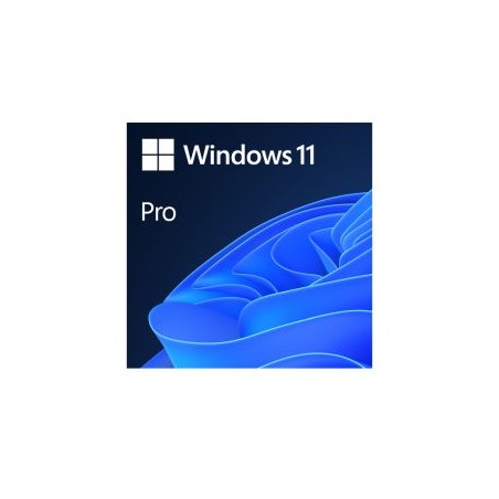 Microsoft Windows 11 Professional 64-bit, OEM DVD, Single Copy